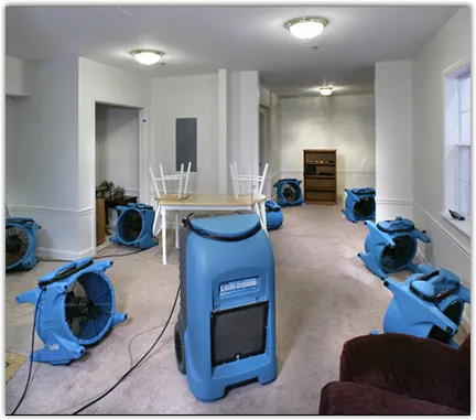 Mold Remediation & Removal in Kirkwood, NY