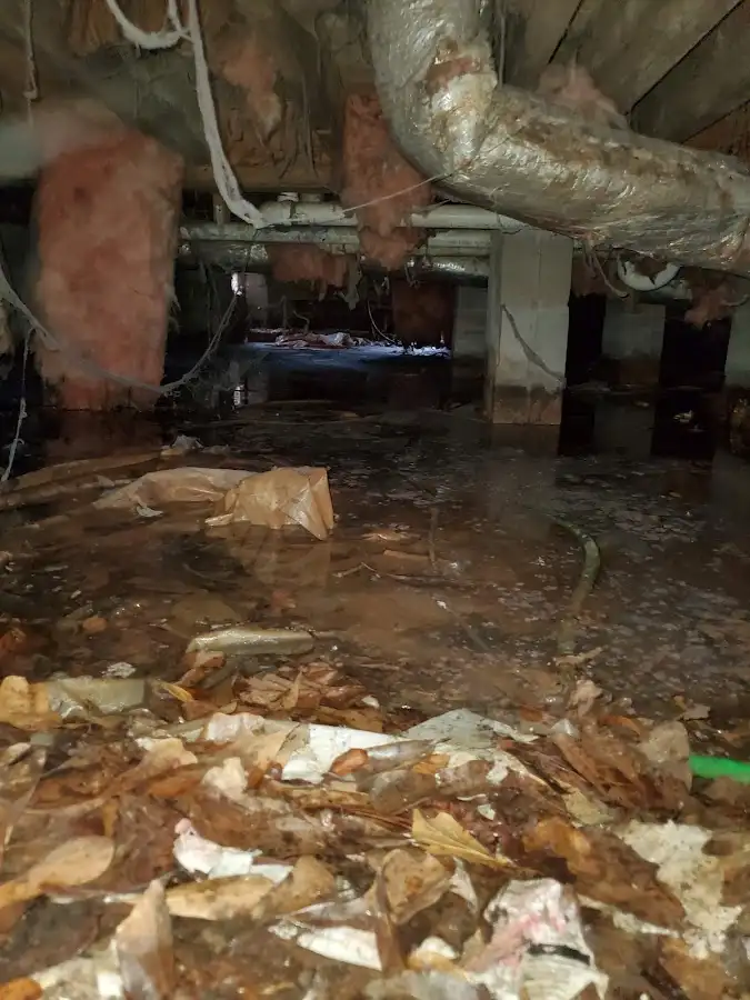 Crawl space flood assessment for Commercial Water Damage Restoration in Kirkwood