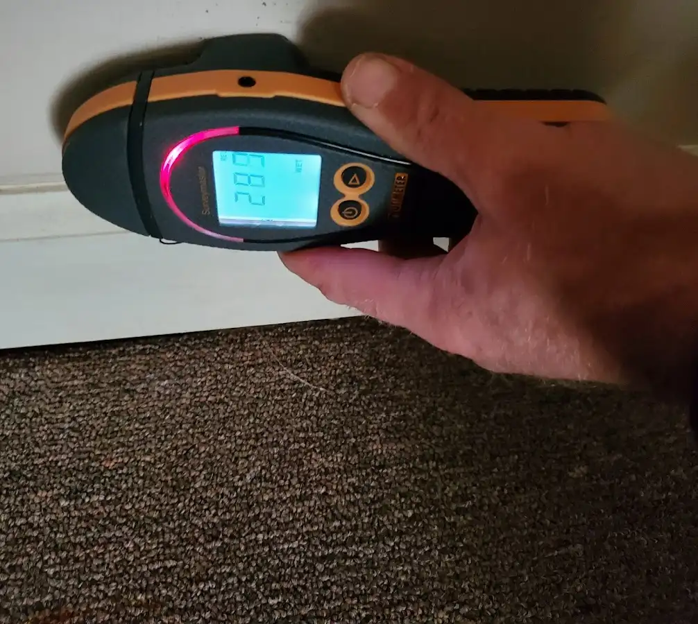 Moisture detection at baseboard during Sewage Cleanup & Sanitation in Kirkwood